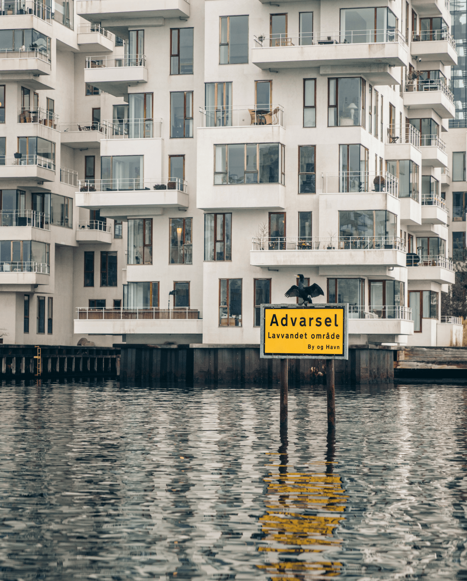 Copenhagen Harbour Water Marine Traffic Regulations Warning Obstacle Danger Canals GoBoat