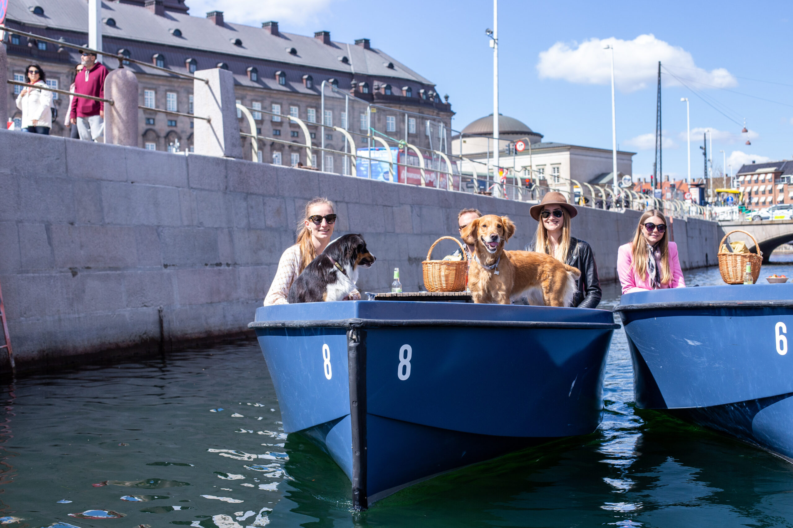 https://goboat-website-production.imgix.net/prod/sites/3/2022/12/15125234/Dogs-sailing-with-GoBoat-scaled.jpg