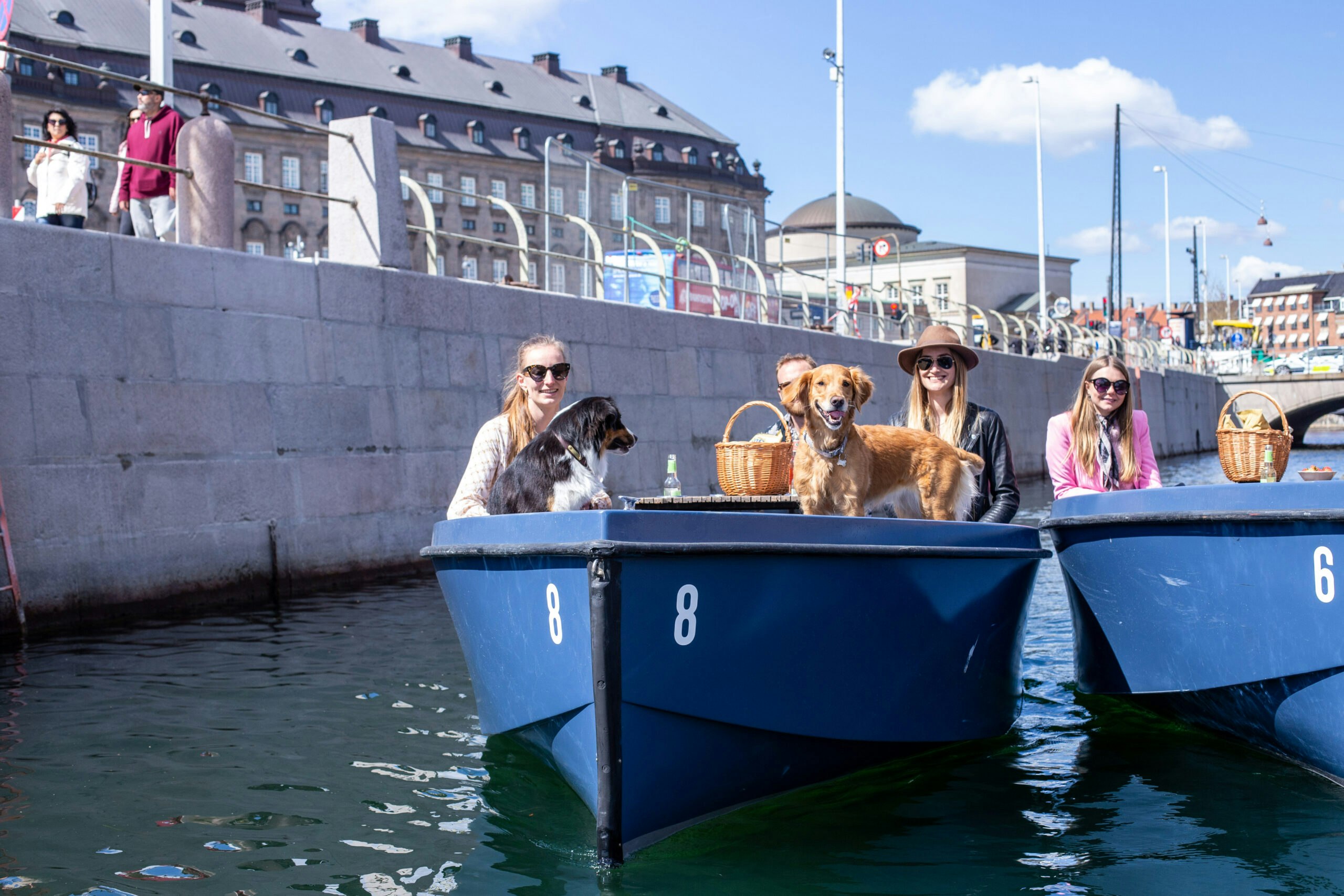 Dogs sailing with GoBoat