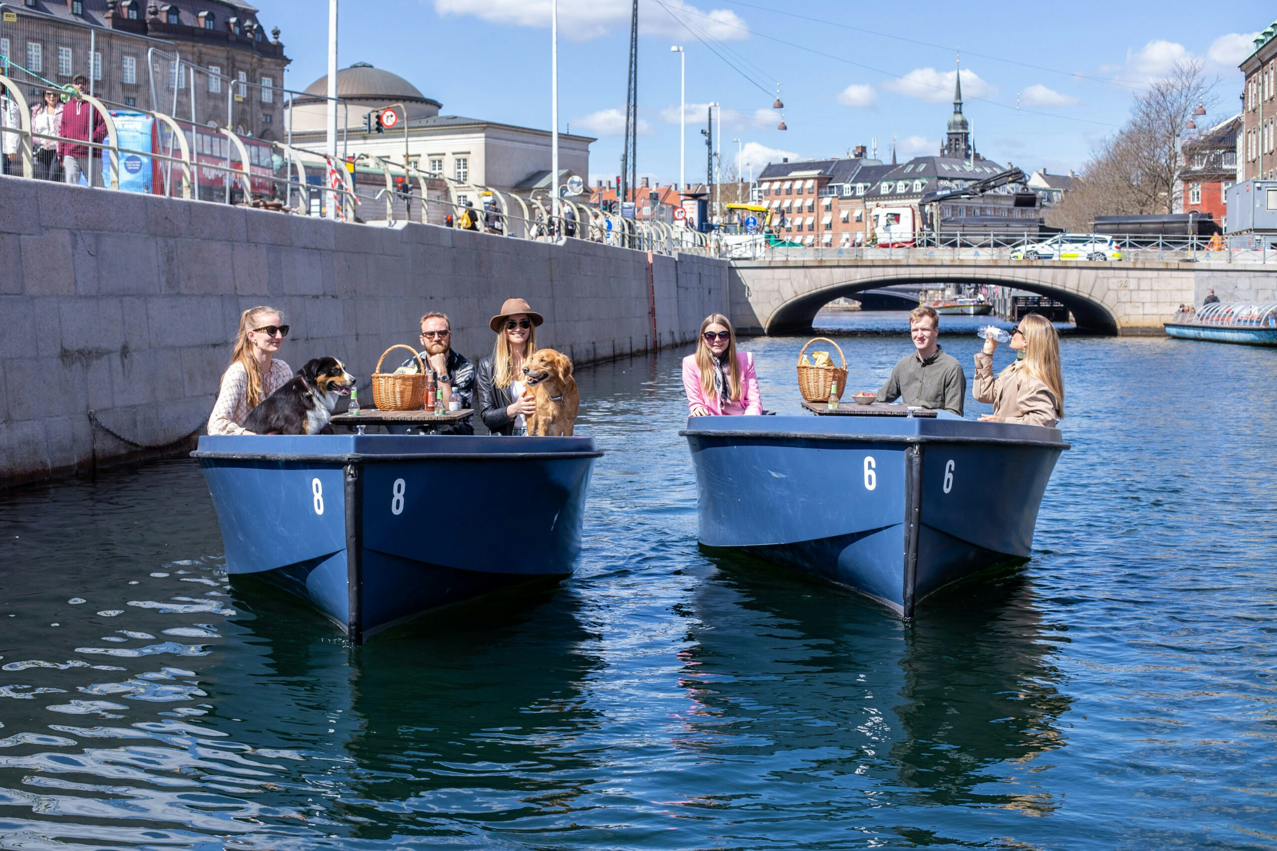 GoBoat Copenhagen sailing with dogs