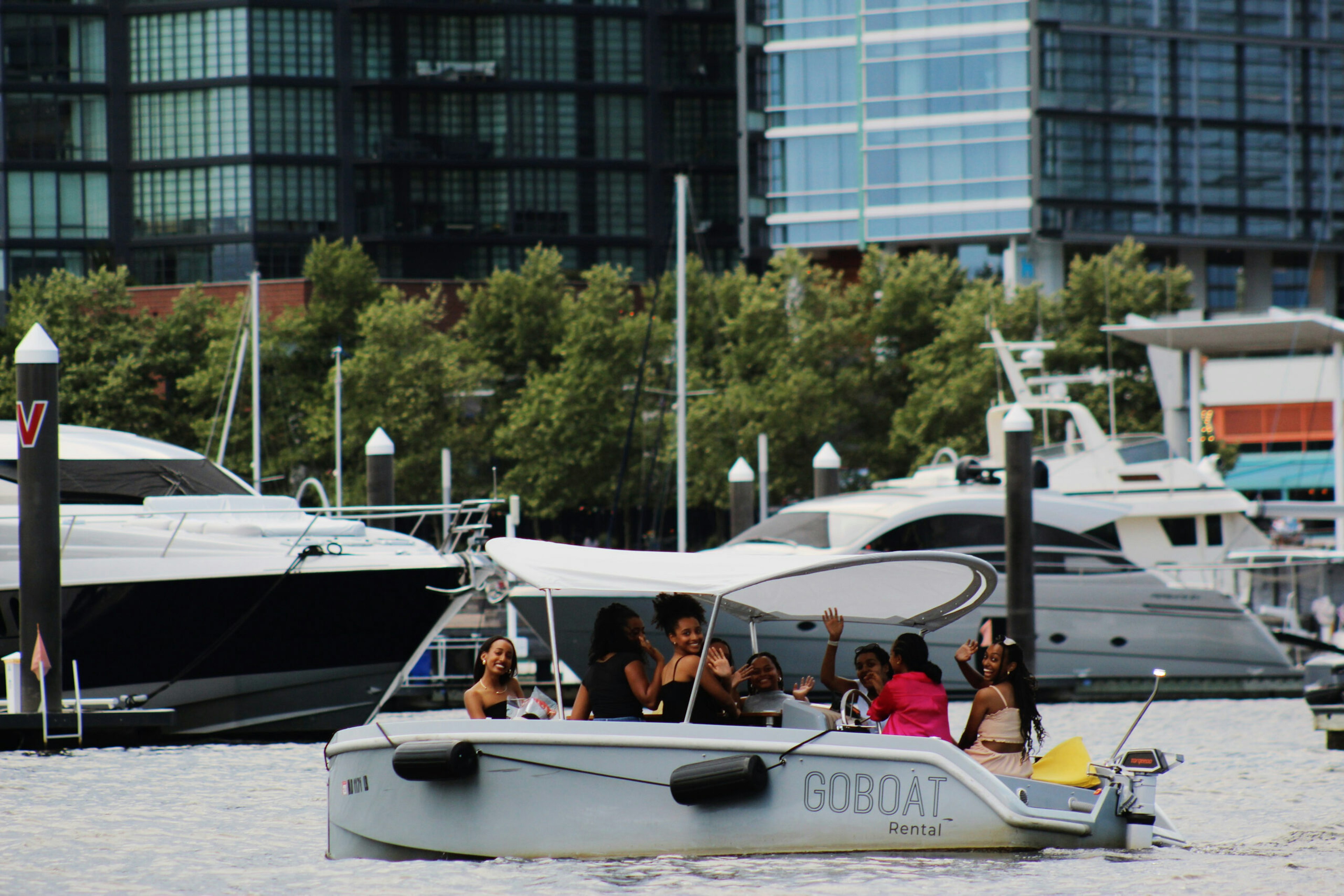Dogs sailing with GoBoat